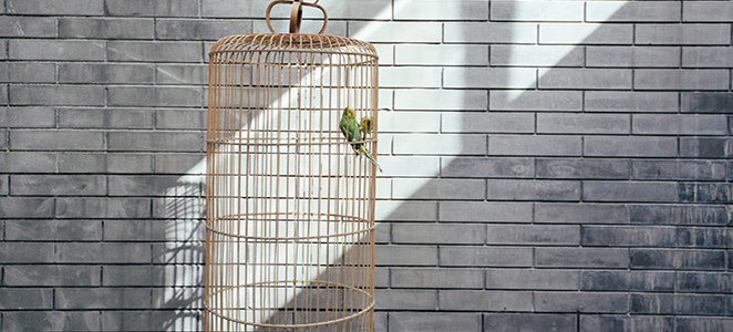 QQ�̳ǽ���ͼЧ������